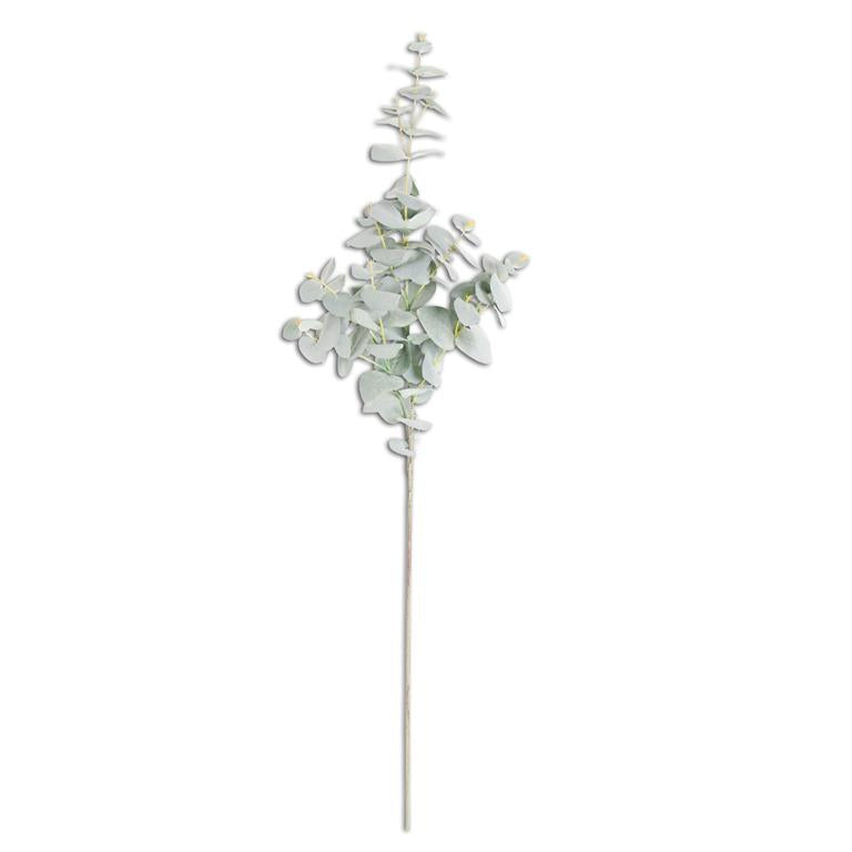Powdered Green Eucalyptus Spray