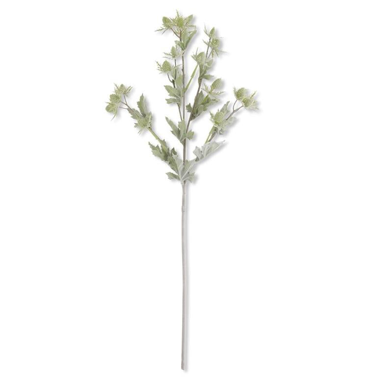 Green Thistle Spray