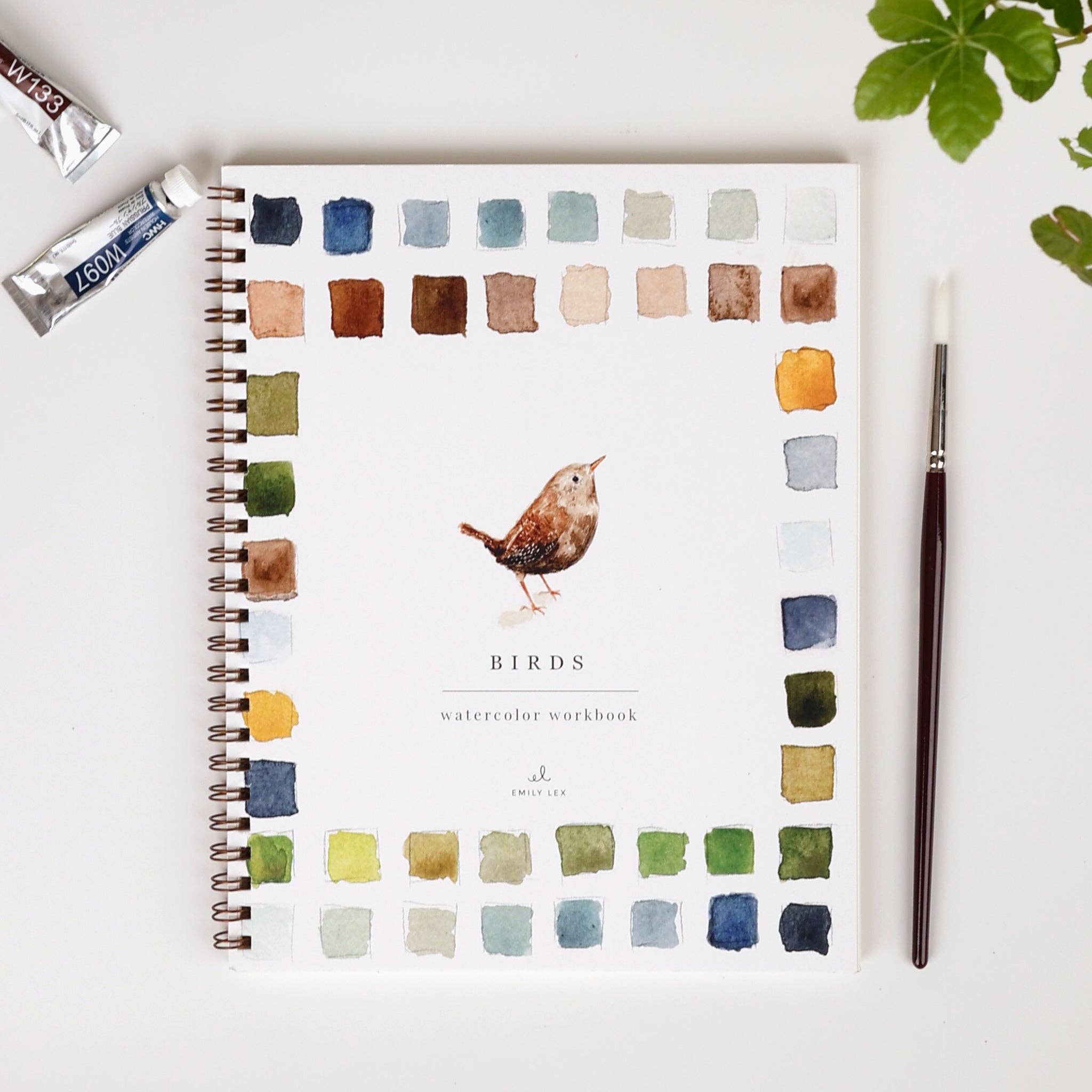 Birds Watercolor Workbook by Emily Lex
