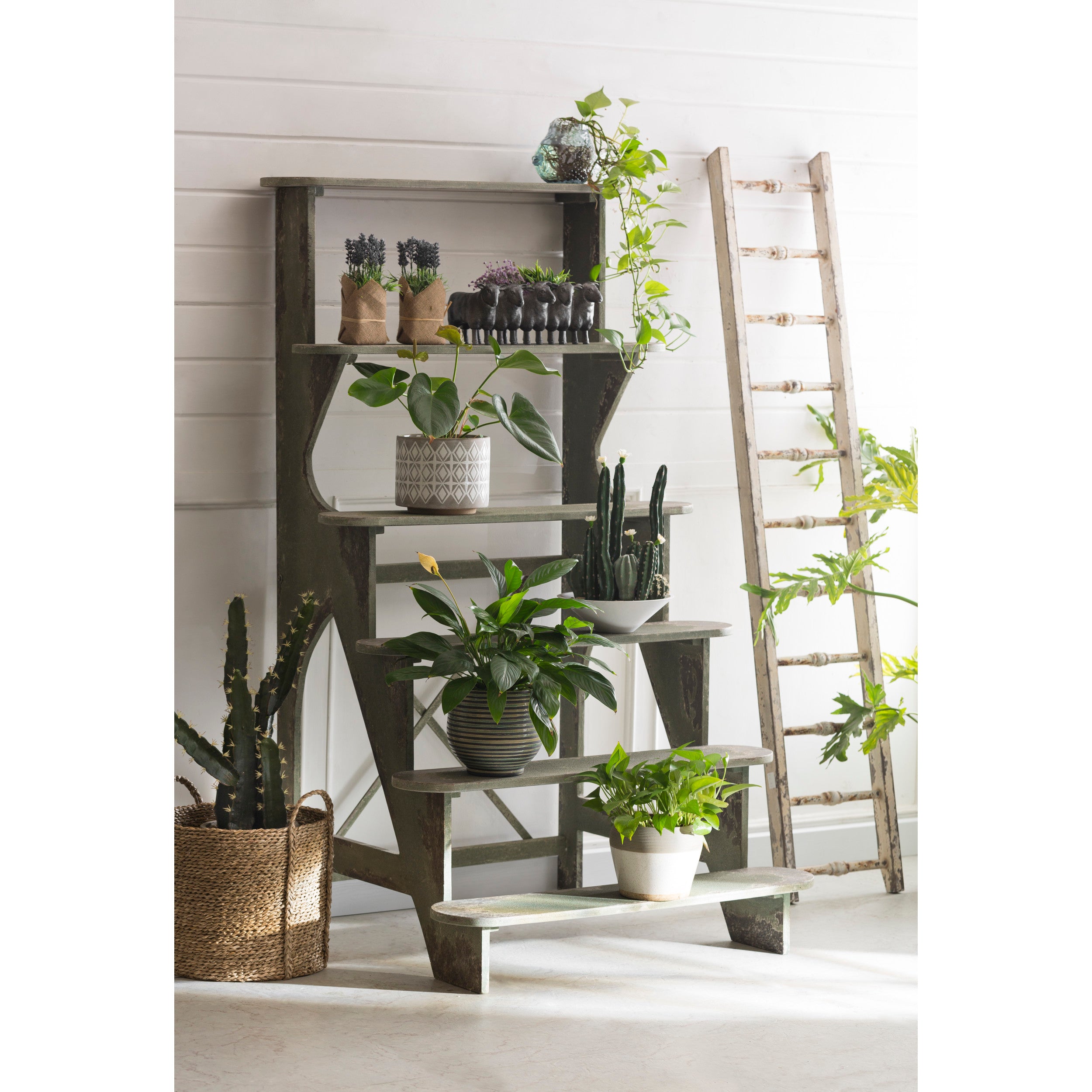 Gray & White, Diamond Pattern Pots