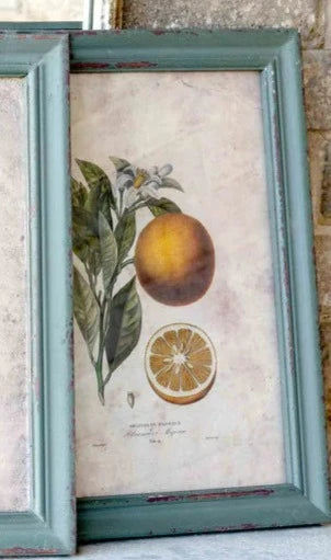 Citrus & Blossom Framed Prints (4 Styles)
