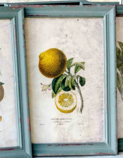 Citrus & Blossom Framed Prints (4 Styles)
