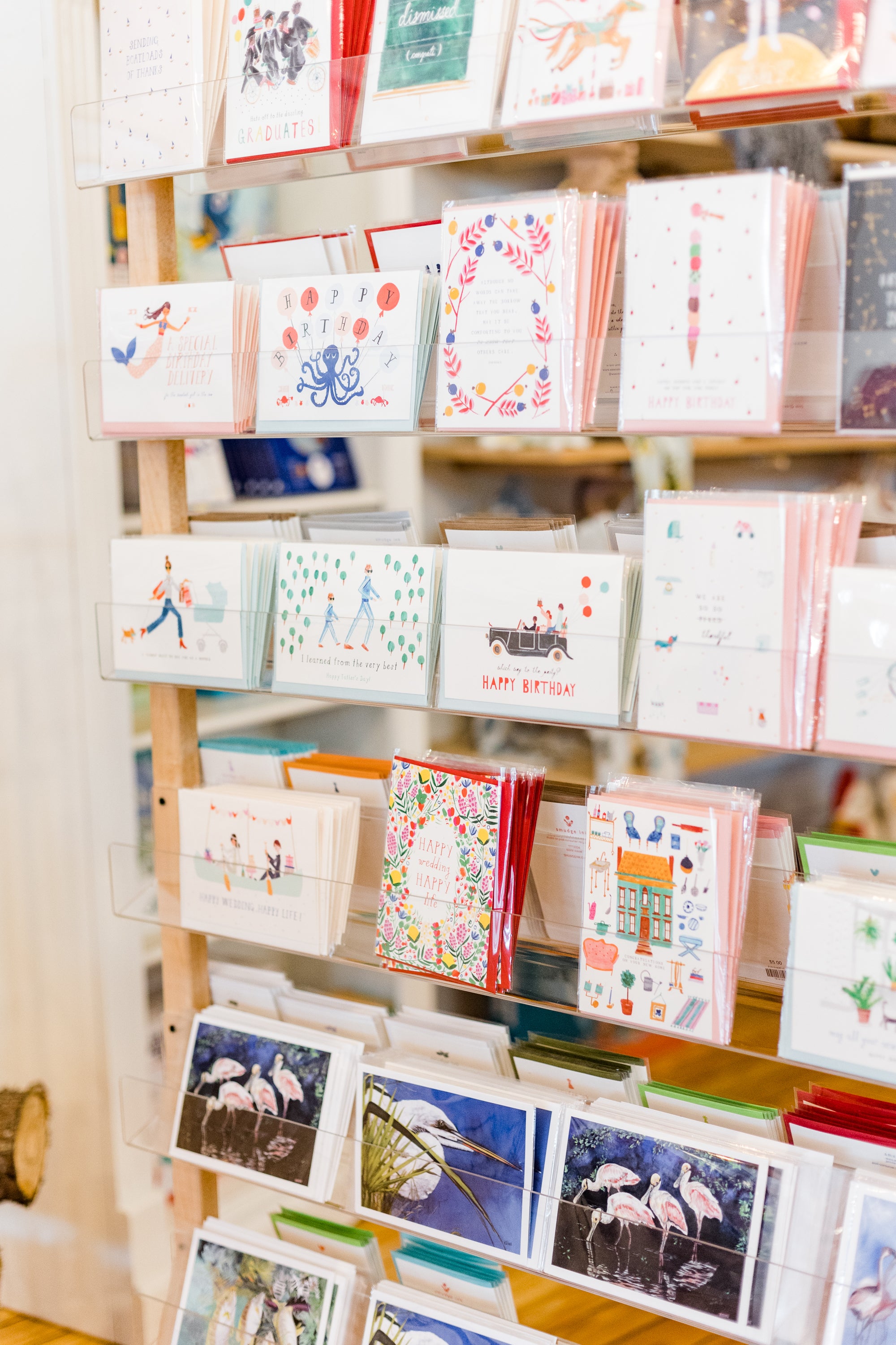 Greeting Cards - Nancy Kline's Assorted Cards