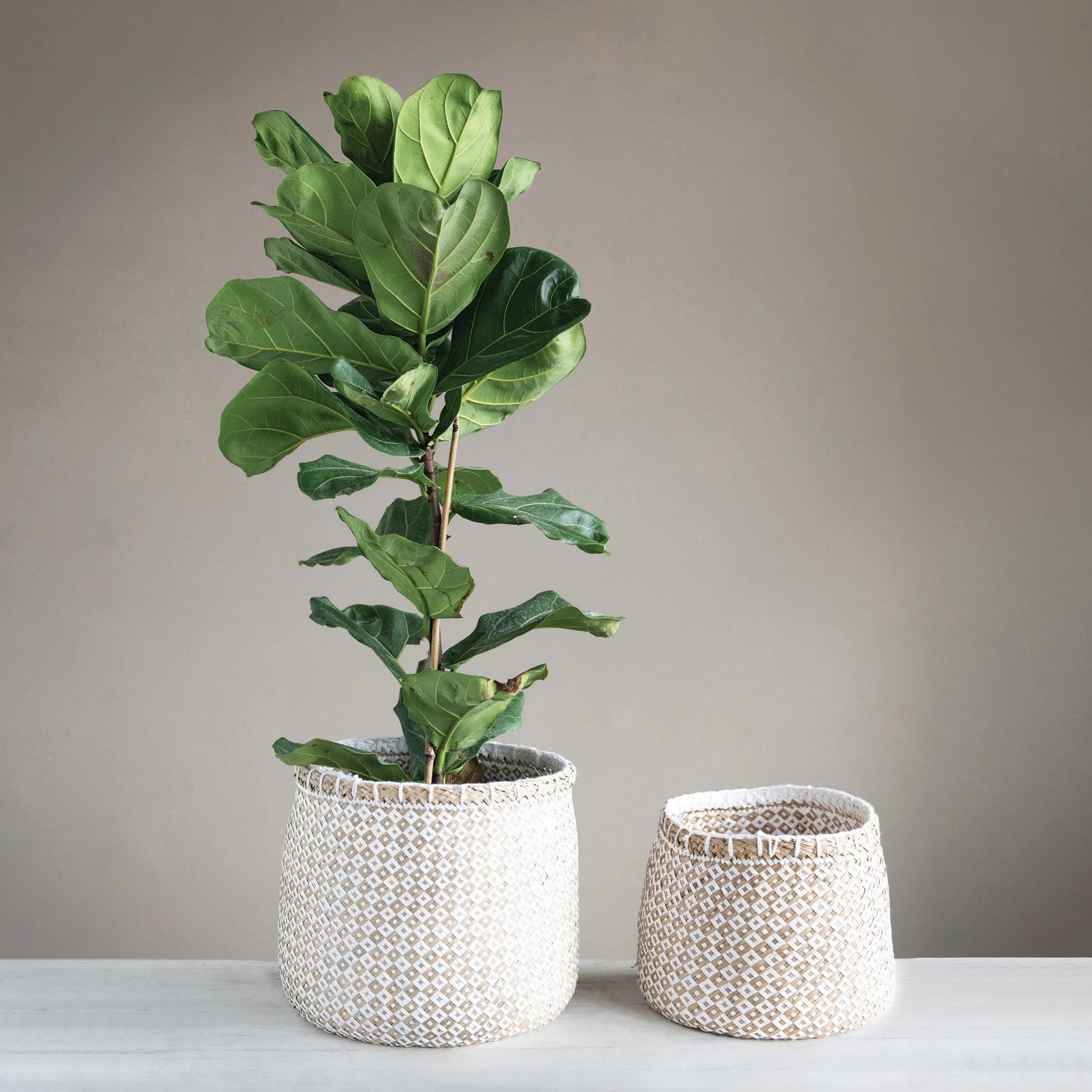 Hand-Woven Baskets with Pattern