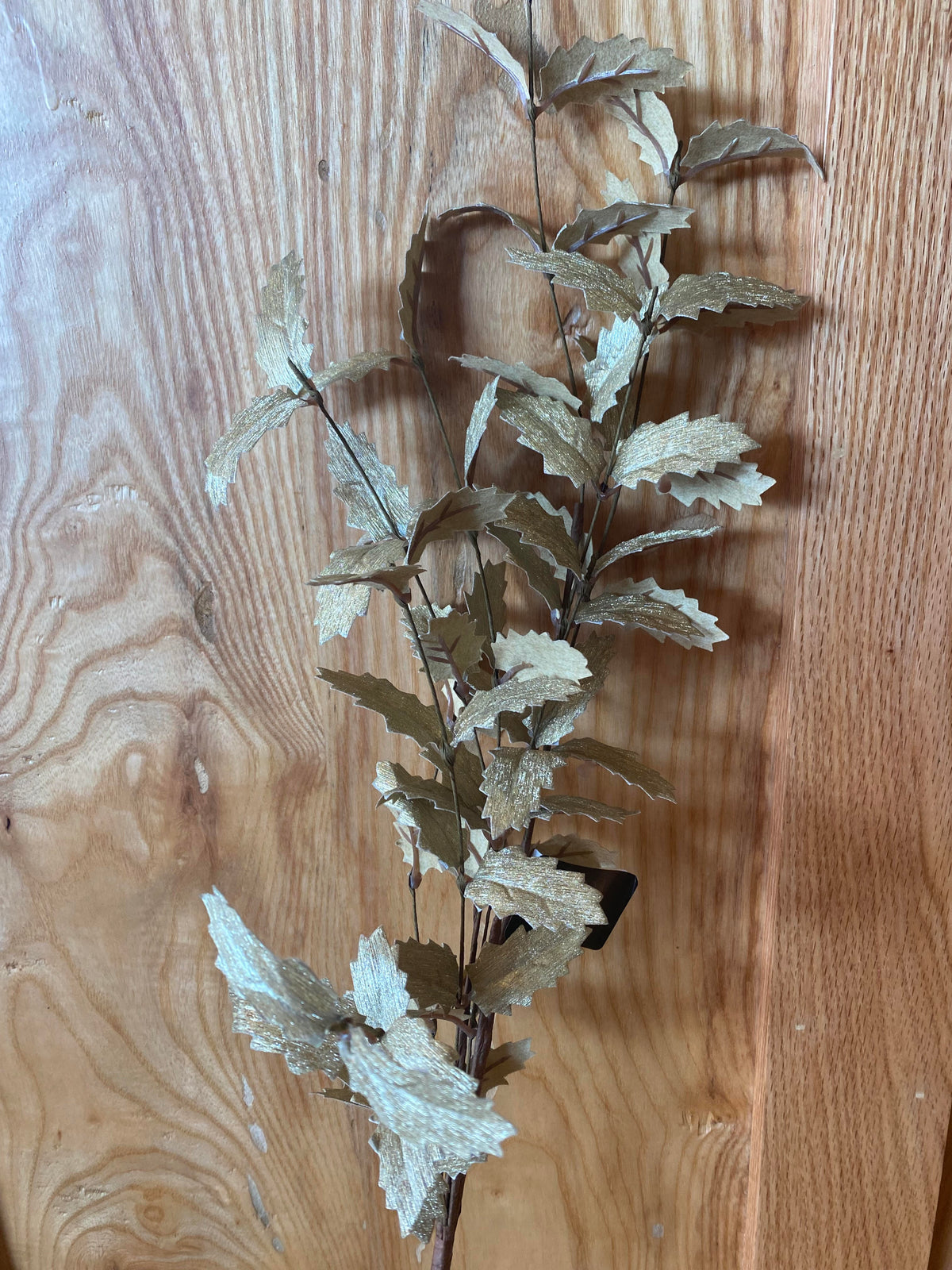 Cream w/ Gold Holly Leaf Stem
