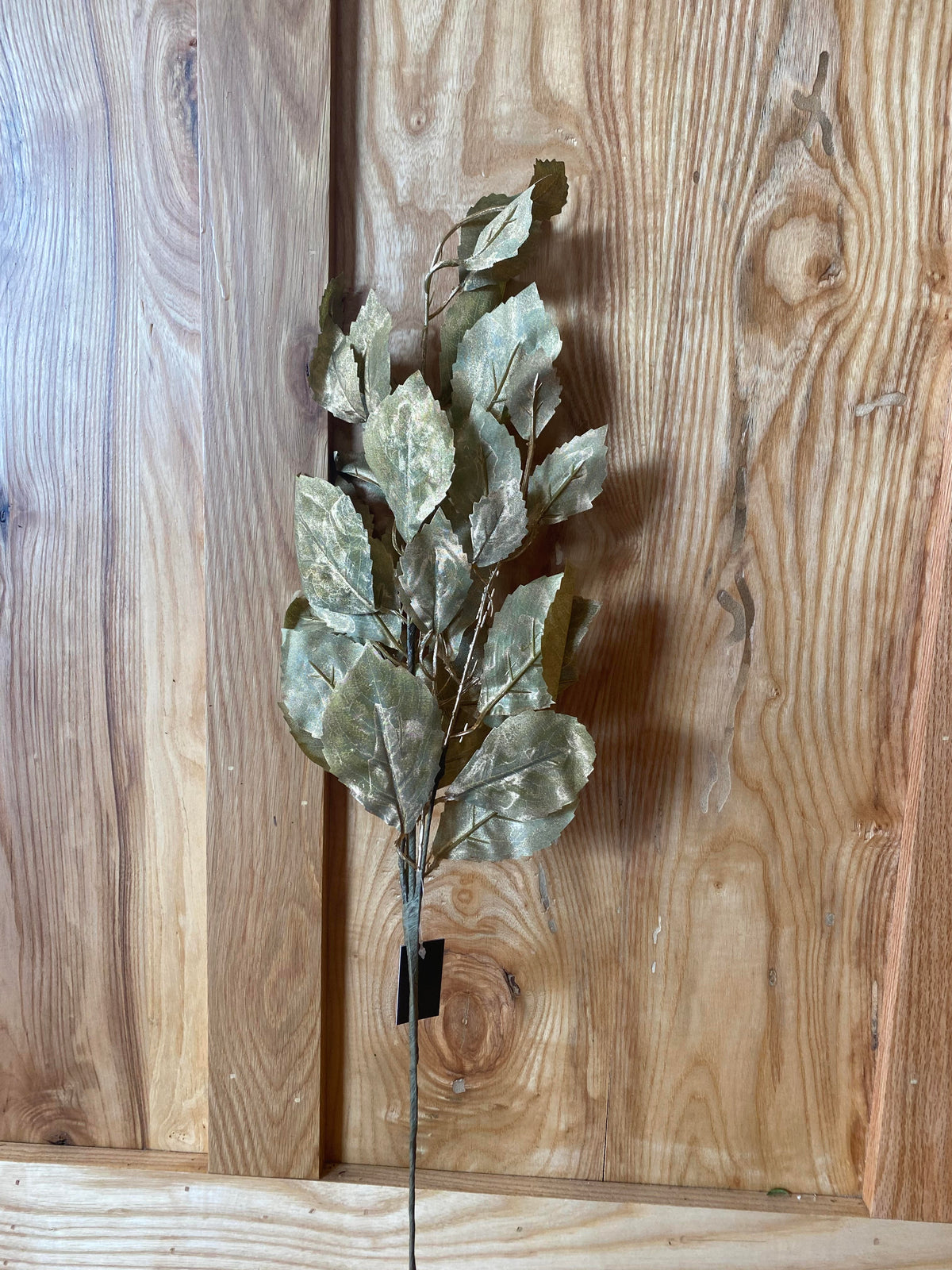 Gold Dusted Birch Leaf Stem